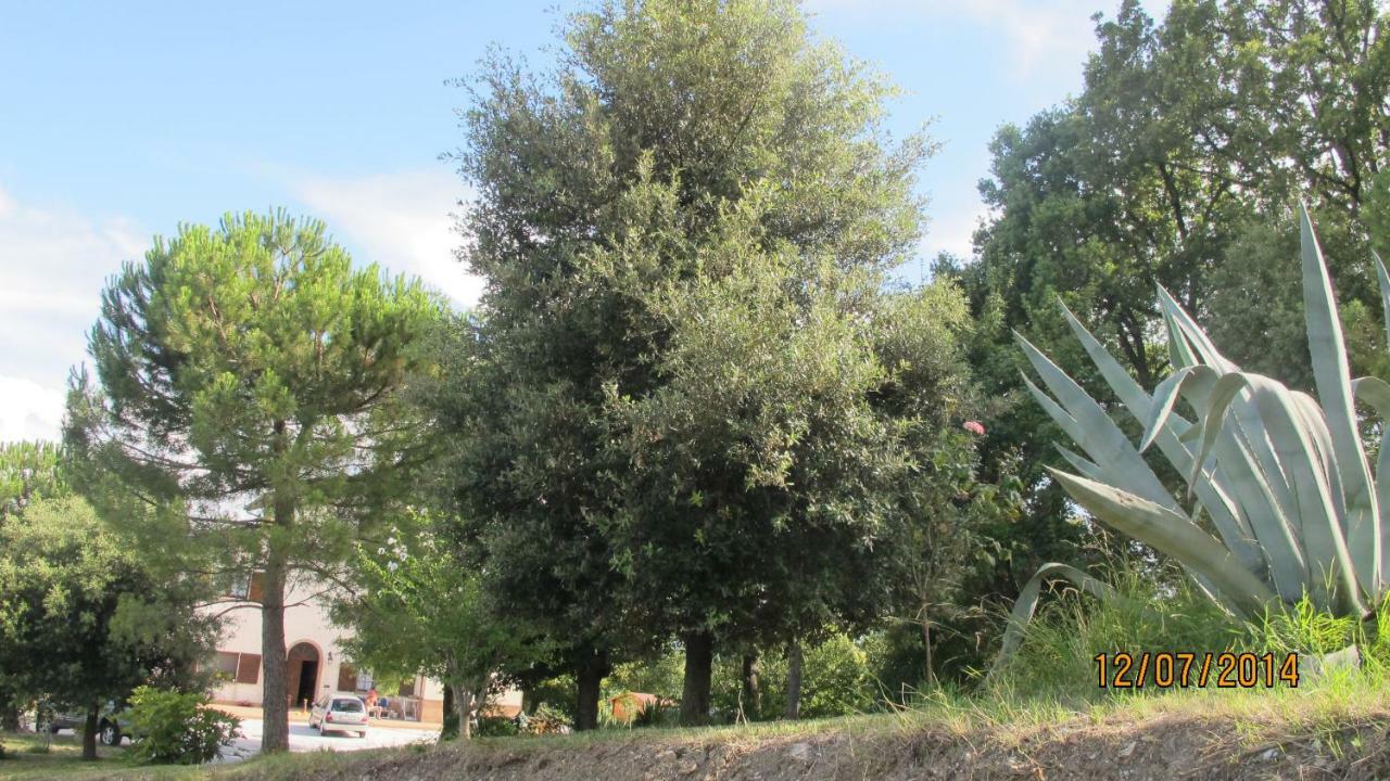 Locanda San Marino Al Coppo Monte Grimano Terme Екстер'єр фото